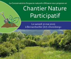 Chantier nature participatif