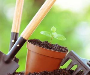 animations sur le jardinage au naturel