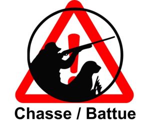 Battue de chasse