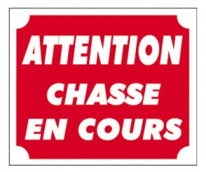 Battue de chasse
