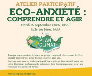 ATELIER PARTICIPATIF : ECO-ANXIETE COMPRENDRE ET AGIR 