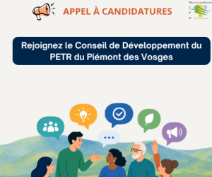 candidature au Conseil de D&eacute;veloppement du PETR