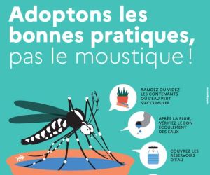 Adoptons les bonnes pratiques contre les moustiques